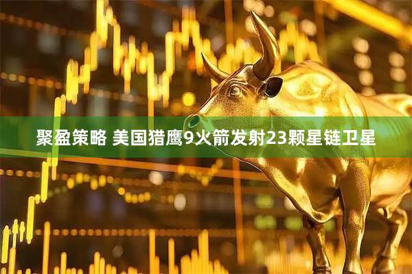聚盈策略 美国猎鹰9火箭发射23颗星链卫星