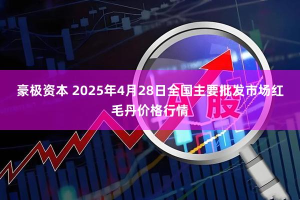豪极资本 2025年4月28日全国主要批发市场红毛丹价格行情