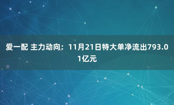 爱一配 主力动向:11月21日特大单净流出793.01亿元