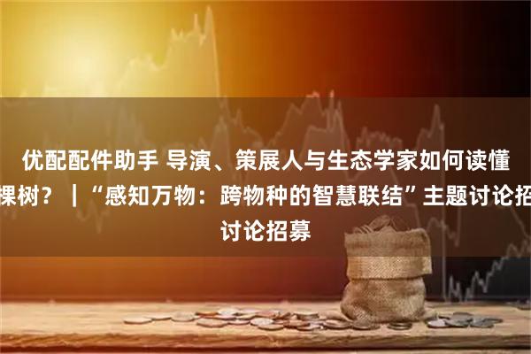 优配配件助手 导演、策展人与生态学家如何读懂一棵树？｜“感知万物：跨物种的智慧联结”主题讨论招募