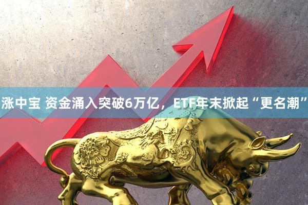 涨中宝 资金涌入突破6万亿，ETF年末掀起“更名潮”