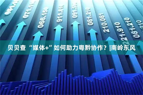 贝贝查 “媒体+”如何助力粤黔协作？|南岭东风