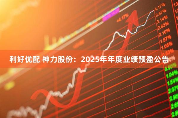 利好优配 神力股份：2025年年度业绩预盈公告