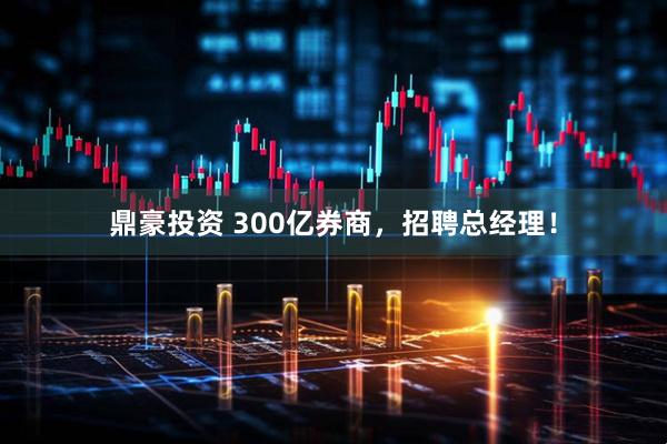 鼎豪投资 300亿券商，招聘总经理！